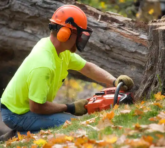 tree services Morrow